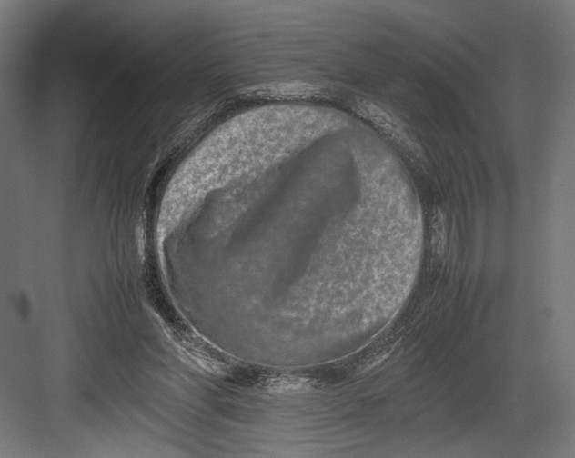 X0000082700206200702161758