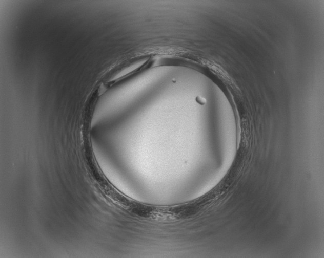 X0000082700207200702161758