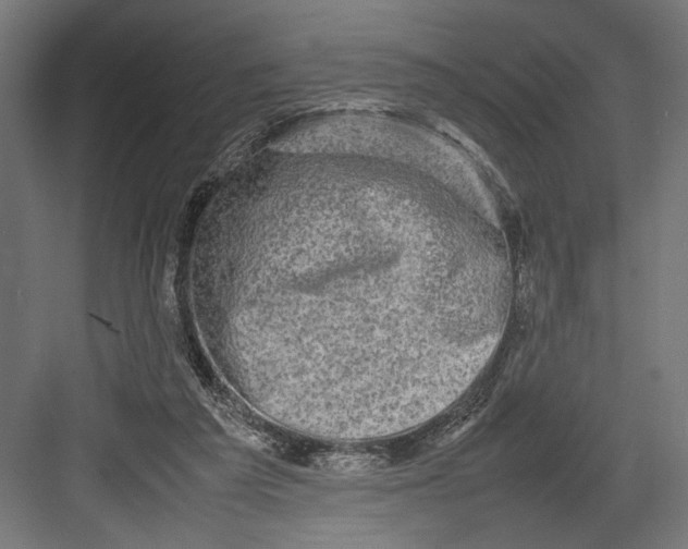 X0000082700209200702161758