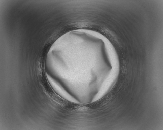 X0000082700210200702161758