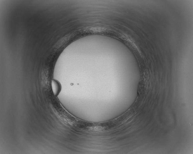 X0000082700212200702161758