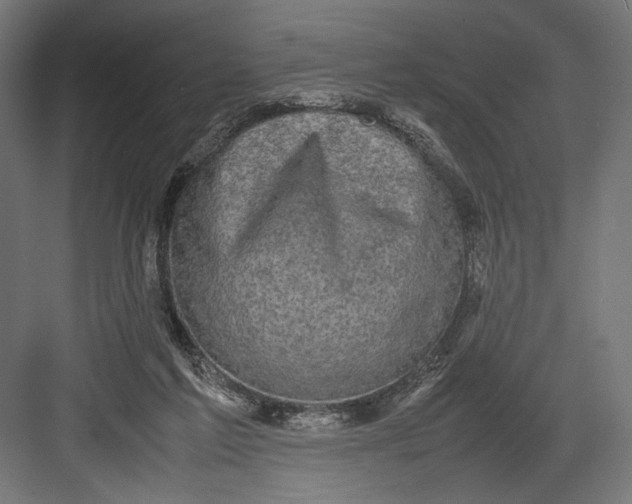 X0000082700213200702161758