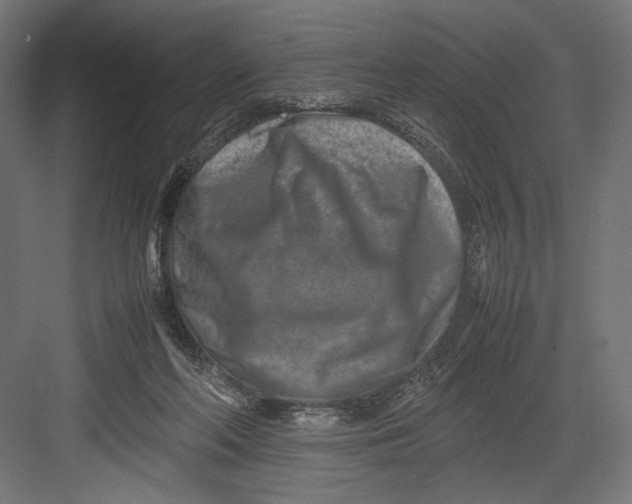 X0000082700214200702161758