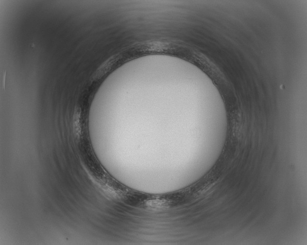 X0000082700216200702161758