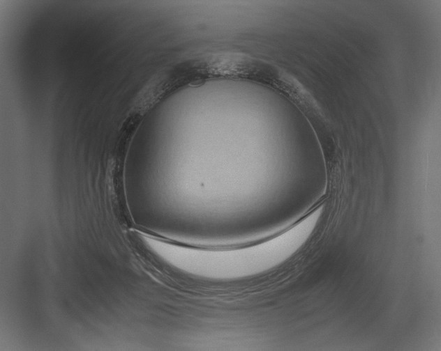 X0000082700217200702161758