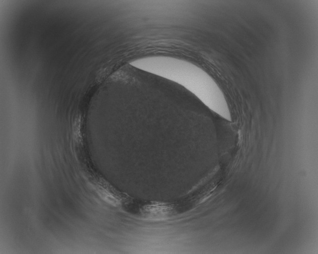 X0000082700219200702161758