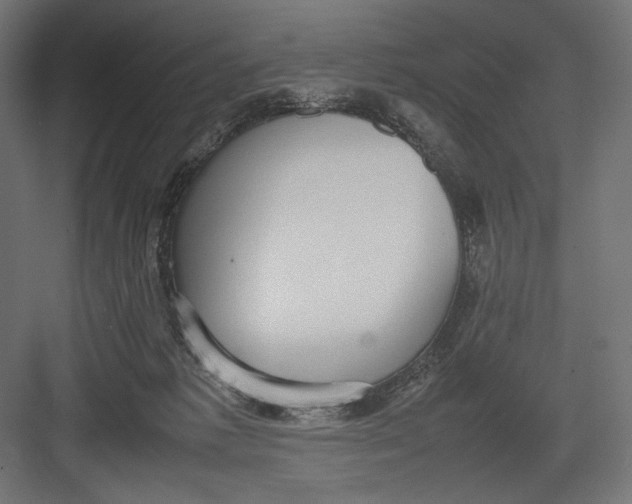 X0000082700221200702161758