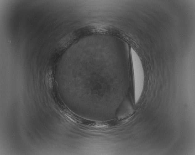 X0000082700223200702161758