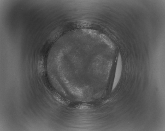 X0000082700224200702161758