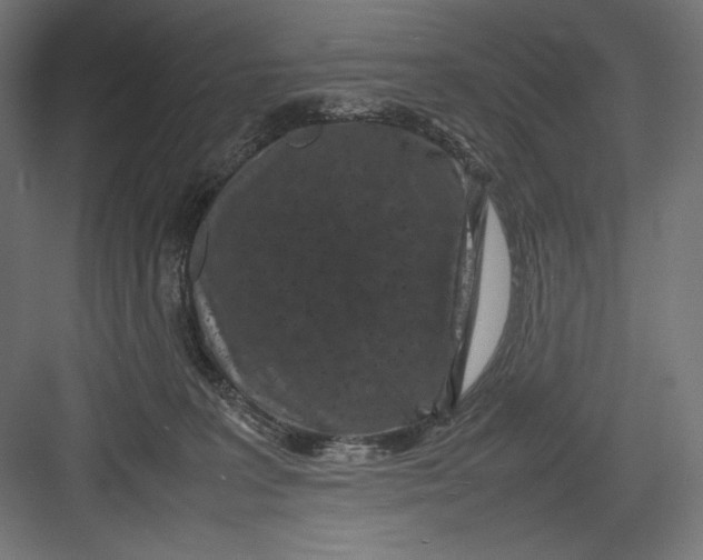 X0000082700227200702161758