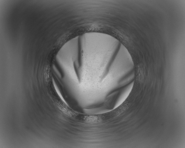 X0000082700230200702161758