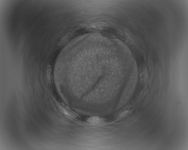 X0000082700231200702161758