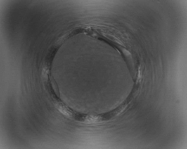 X0000082700235200702161758