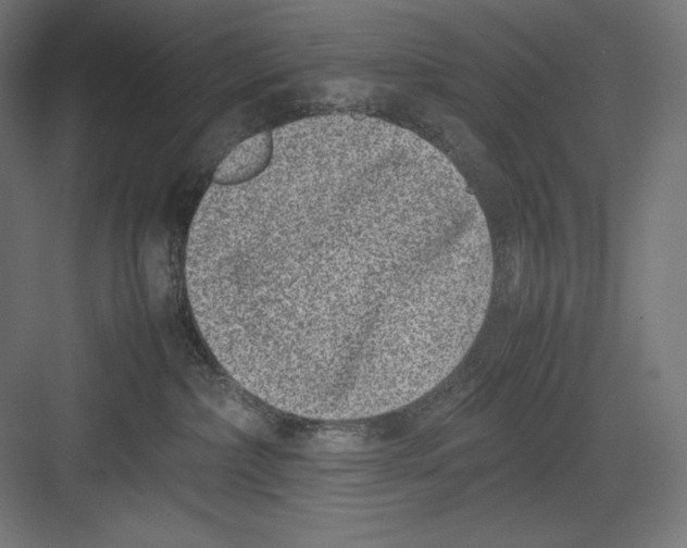 X0000082700236200702161758