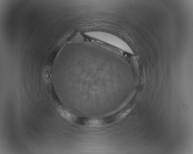 X0000082700237200702161758