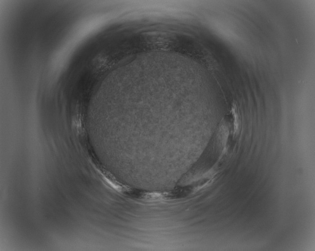 X0000082700239200702161758