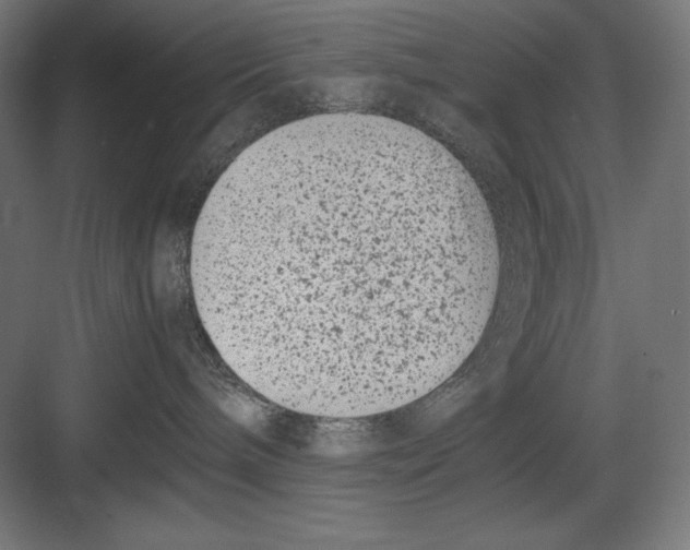 X0000082700240200702161758