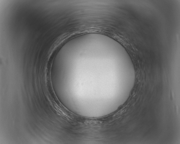 X0000082700242200702161757