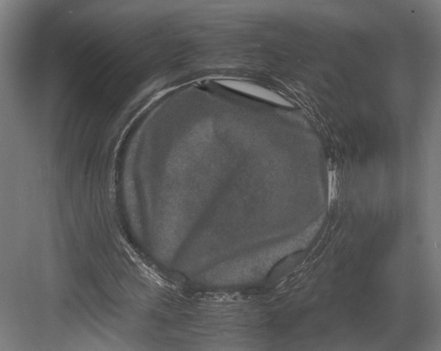 X0000082700243200702161757