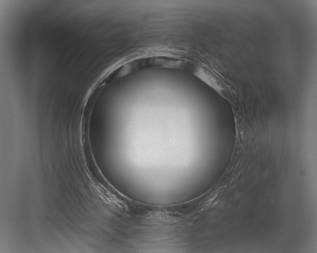 X0000082700244200702161757