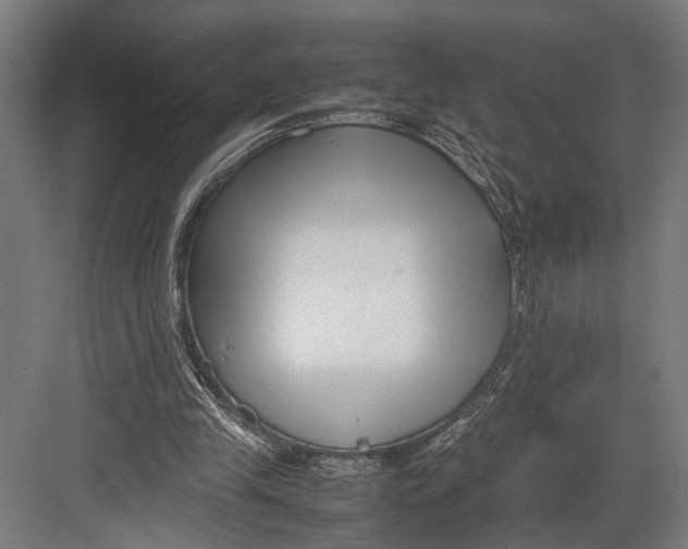 X0000082700245200702161757