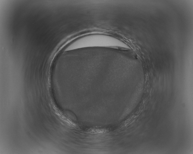 X0000082700247200702161757