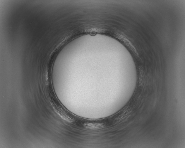 X0000082700251200702161757