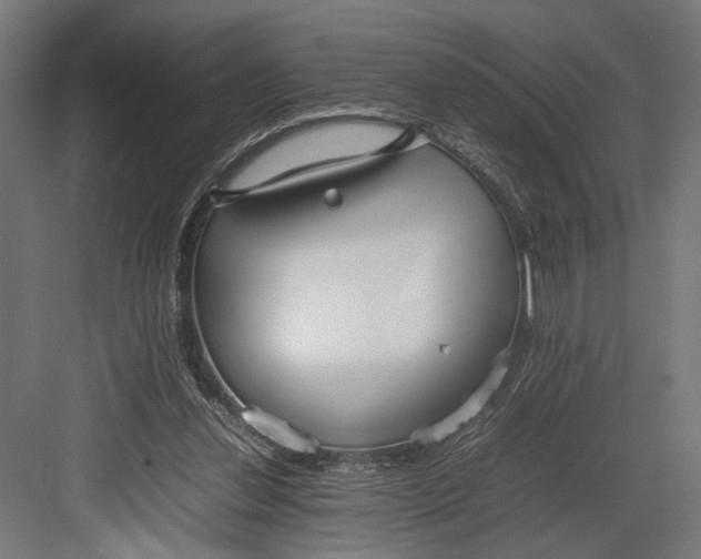 X0000082700252200702161757