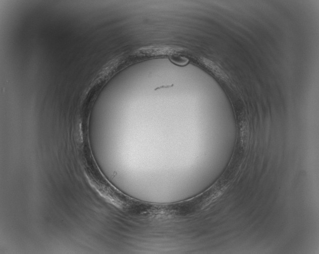 X0000082700254200702161757