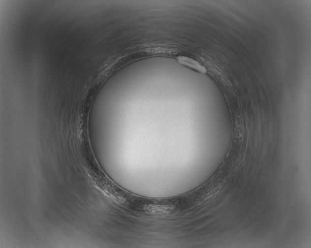 X0000082700255200702161757