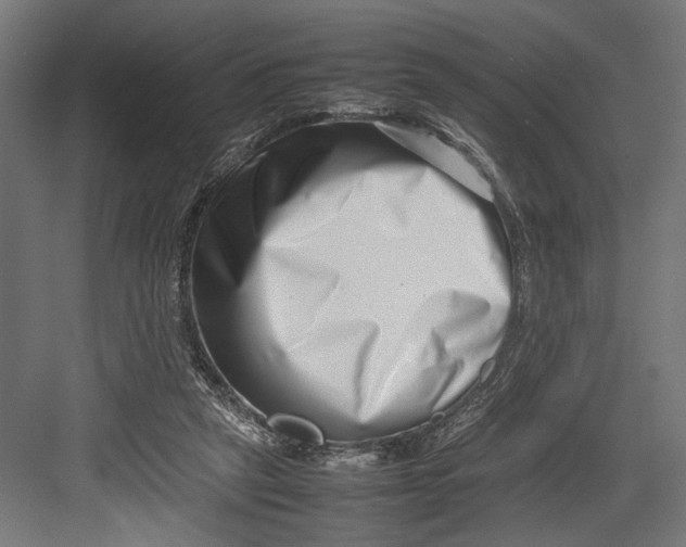 X0000082700257200702161757