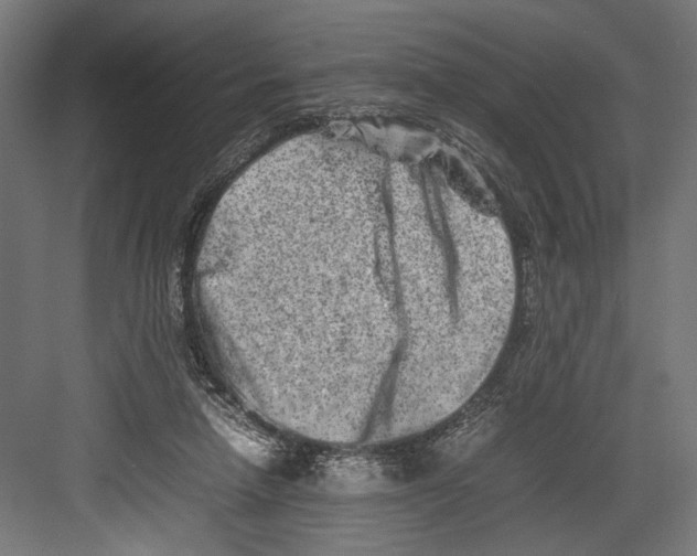 X0000082700258200702161757