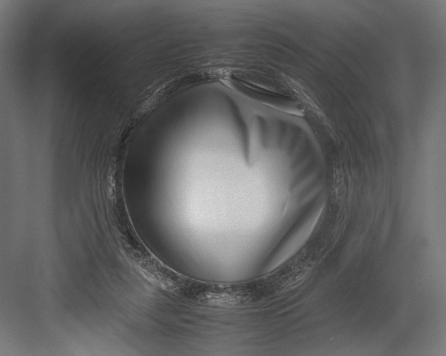 X0000082700259200702161757