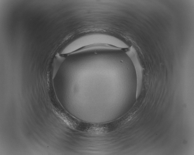 X0000082700260200702161757