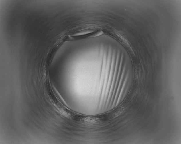 X0000082700261200702161757