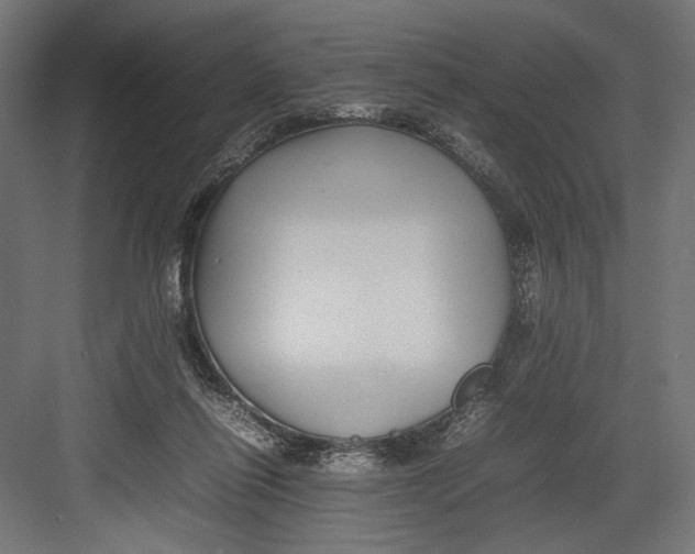 X0000082700262200702161757