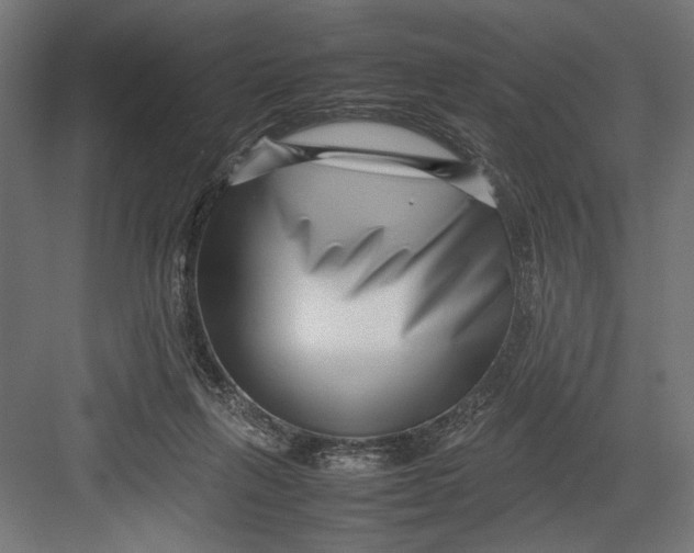 X0000082700263200702161757