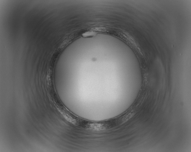 X0000082700265200702161757