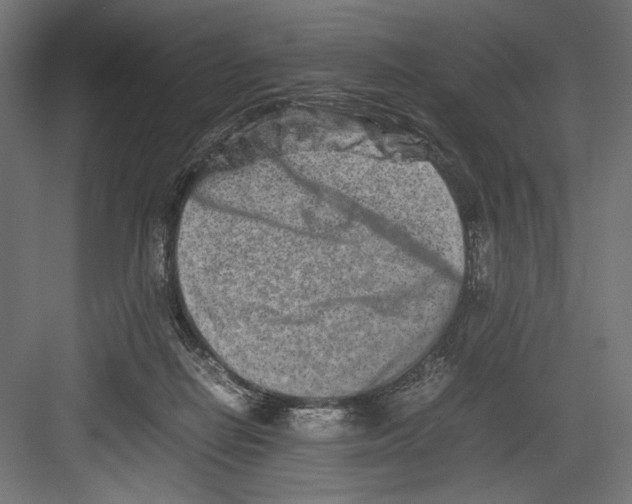 X0000082700266200702161757