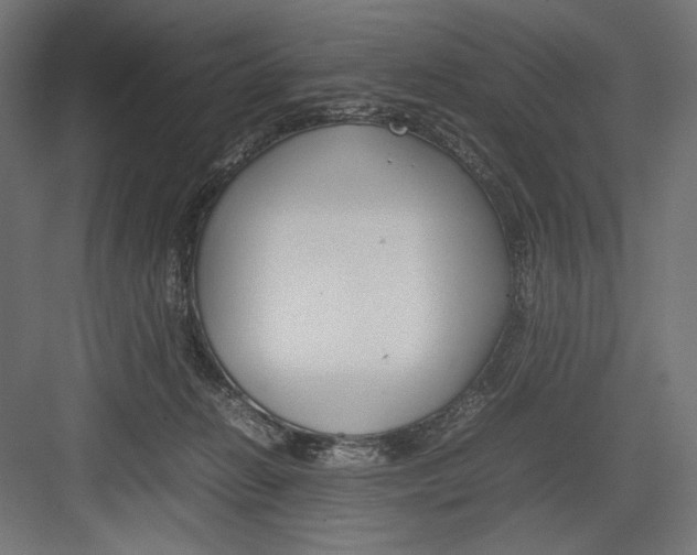 X0000082700270200702161757