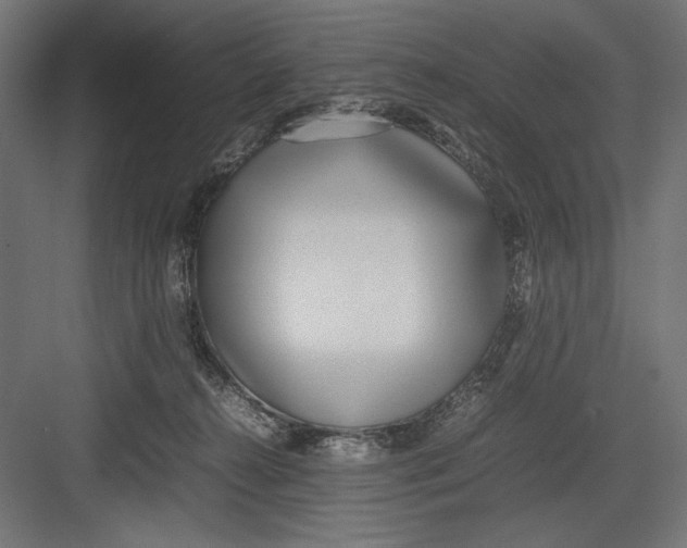 X0000082700272200702161757