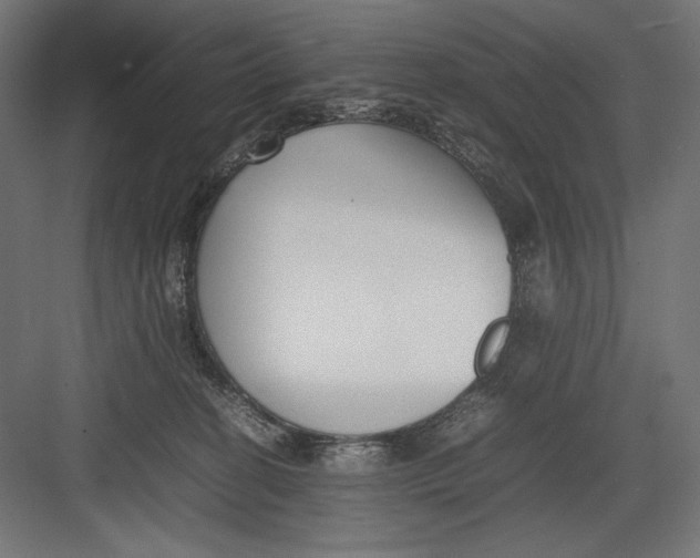 X0000082700274200702161757