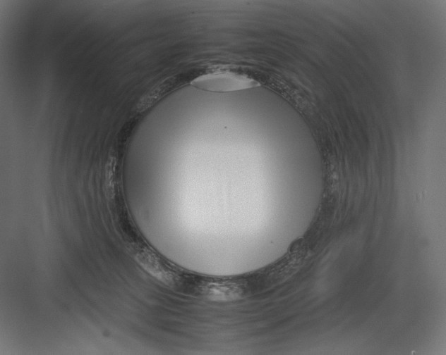 X0000082700275200702161757