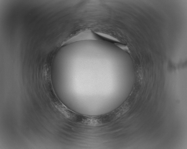 X0000082700276200702161757