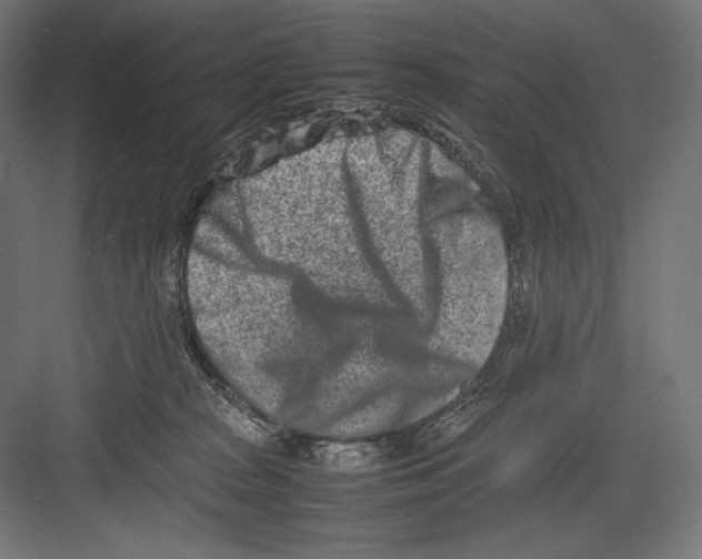 X0000082700277200702161757