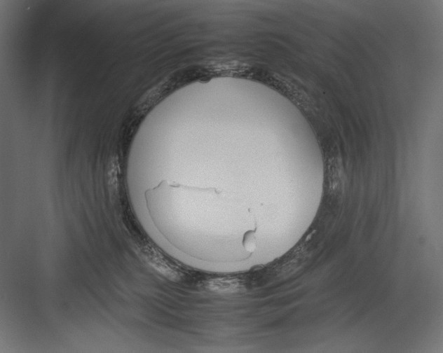 X0000082700279200702161757