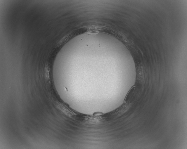 X0000082700282200702161758