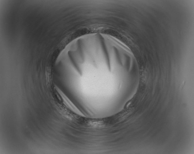 X0000082700283200702161758