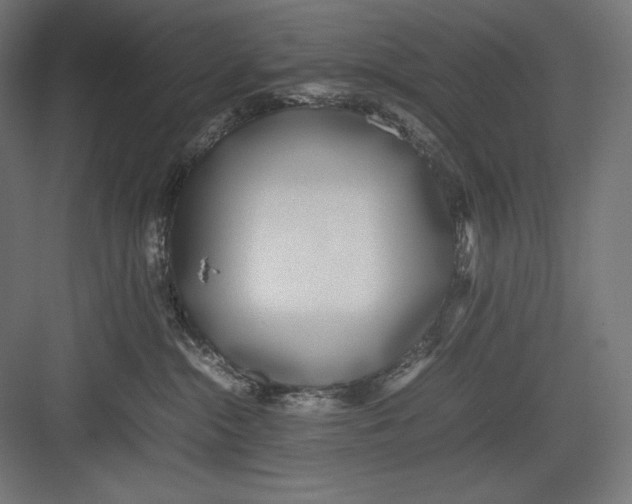 X0000082700284200702161758