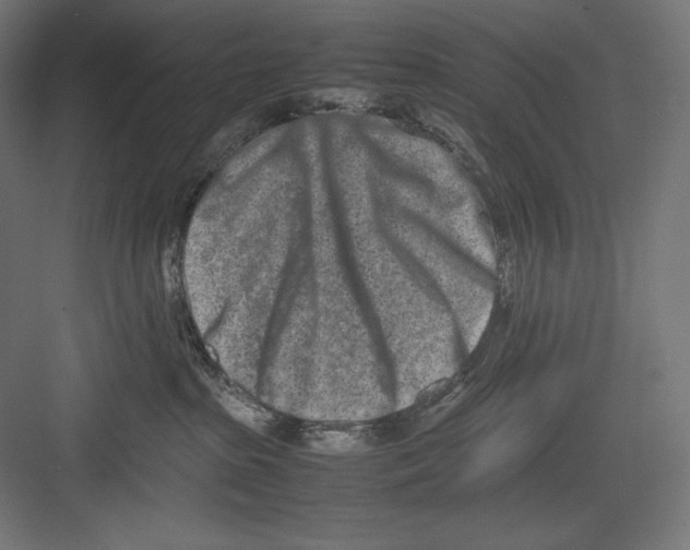 X0000082700285200702161758